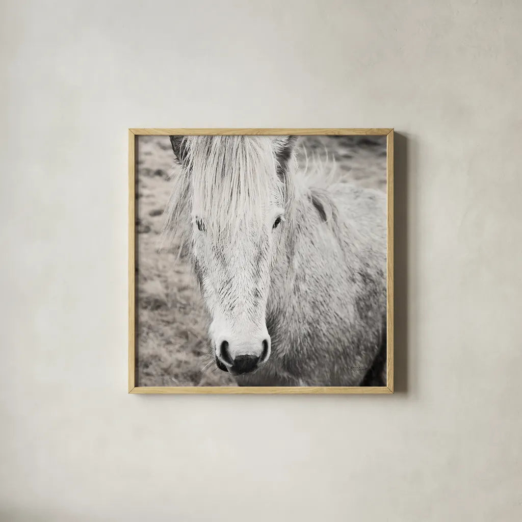 Heida IV BW by Laura Marshall. Shown in a natural wood glass frame for a timeless modern aesthetic. Available as an archival giclee rolled canvas, fine art paper, or poster print. SKU 49829a.