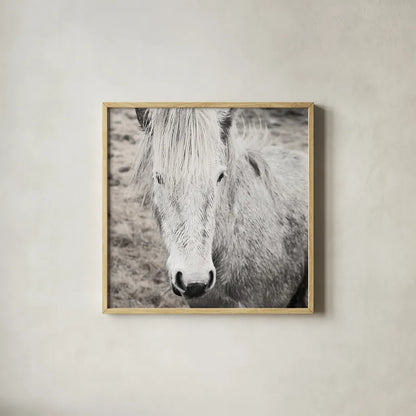Heida IV BW by Laura Marshall. Shown in a natural wood glass frame for a timeless modern aesthetic. Available as an archival giclee rolled canvas, fine art paper, or poster print. SKU 49829a.