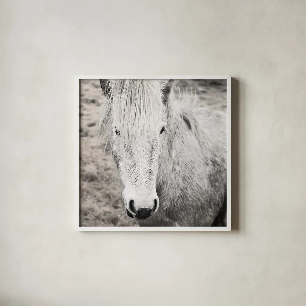 Heida IV BW by Laura Marshall. Shown in a crisp white glass frame for a clean and minimalist style. Available as an archival giclee rolled canvas, fine art paper, or poster print. SKU 49829a.