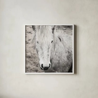 Heida IV BW by Laura Marshall. Shown in a crisp white glass frame for a clean and minimalist style. Available as an archival giclee rolled canvas, fine art paper, or poster print. SKU 49829a.