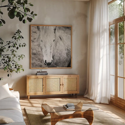 Heida IV BW by Laura Marshall. Shown in a natural wood frame in a cozy modern living room. Available as an archival giclee rolled canvas, fine art paper, or poster print. SKU 49829a.