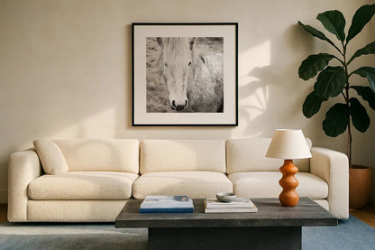 Heida IV BW by Laura Marshall. Displayed in a glass frame with matte in a clean modern living room. Available as an archival giclee rolled canvas, fine art paper, or poster print. SKU 49829a.