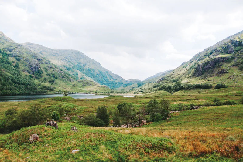 Highland Mountains by Laura Marshall. SKU 81312i. Archival Giclee Fine art print for wall decor.