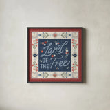 Homespun Americana II v2 by Laura Marshall. Shown in a sleek black glass frame for a contemporary gallery look. Available as an archival giclee rolled canvas, fine art paper, or poster print. SKU 104922a.