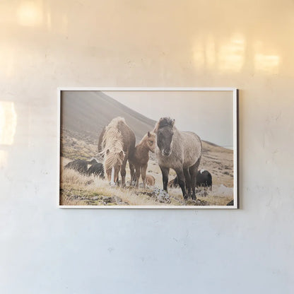 Horses of Hofn I by Laura Marshall. shown as a paper print in a white frame. Available as a archival giclee rolled canvas, fine art paper, or poster print. SKU 49810i.