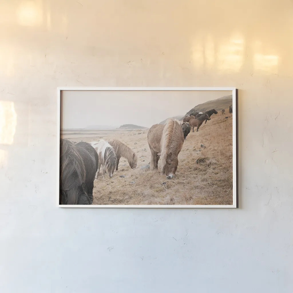 Horses of Hofn II by Laura Marshall. shown as a paper print in a white frame. Available as a archival giclee rolled canvas, fine art paper, or poster print. SKU 49812i.