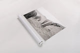 Horses of Hofn II BW by Laura Marshall. shown as a rolled paper print. Available as archival giclee rolled canvas, fine art paper, or poster print. SKU 49813i.