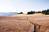 Hurricane Hill I by Laura Marshall. SKU 63268i. Archival Giclee Fine art print for wall decor.