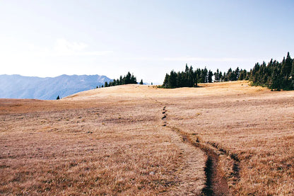 Hurricane Hill I by Laura Marshall. SKU 63268i. Archival Giclee Fine art print for wall decor.