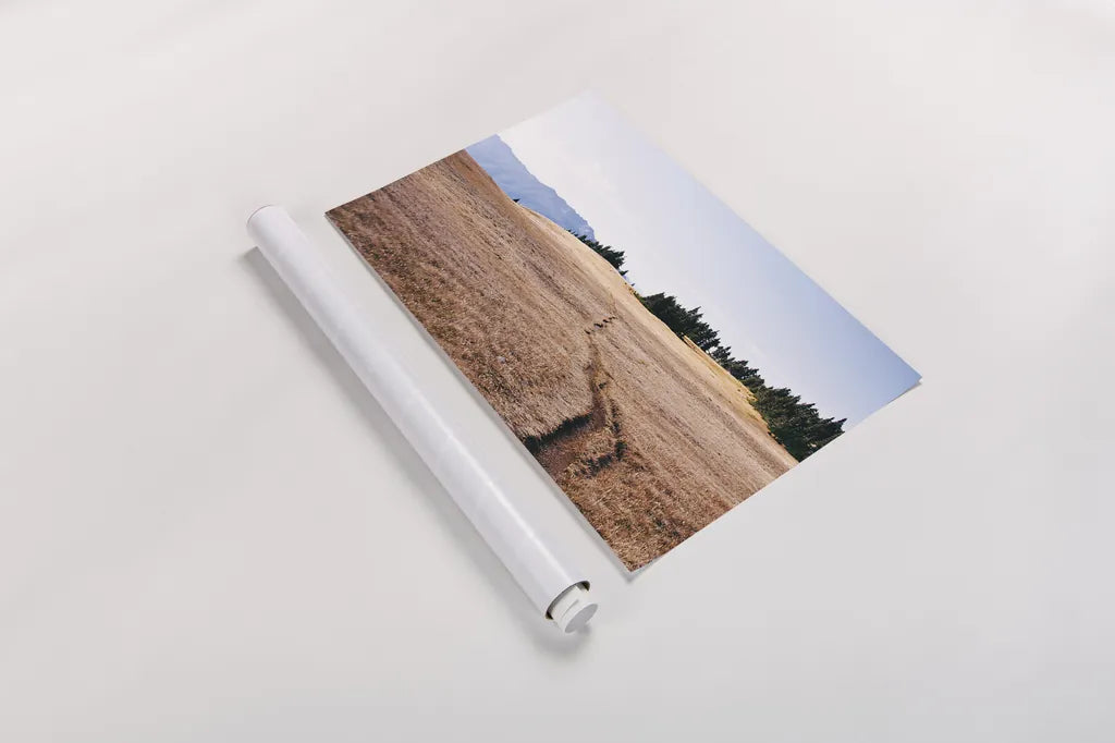 Hurricane Hill I by Laura Marshall. shown as a rolled paper print. Available as archival giclee rolled canvas, fine art paper, or poster print. SKU 63268i.