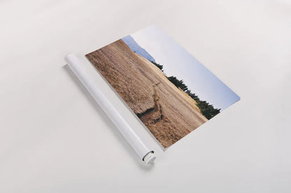 Hurricane Hill I by Laura Marshall. shown as a rolled paper print. Available as archival giclee rolled canvas, fine art paper, or poster print. SKU 63268i.