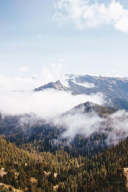Hurricane Ridge I by Laura Marshall. SKU 63265h. Archival Giclee Fine art print for wall decor.