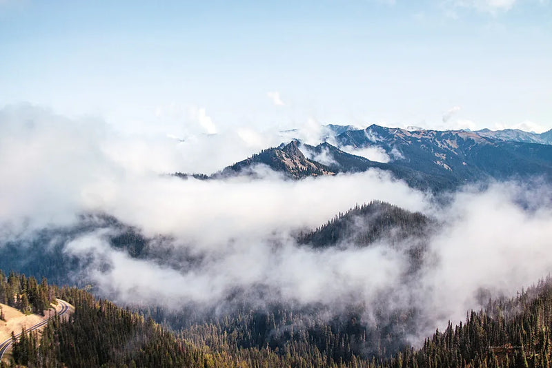 Hurricane Ridge II by Laura Marshall. SKU 63266i. Archival Giclee Fine art print for wall decor.