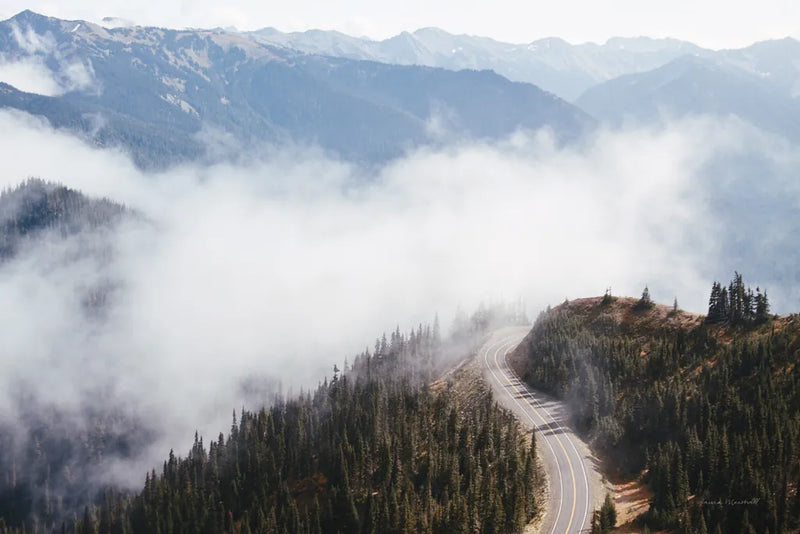 Hurricane Ridge III by Laura Marshall. SKU 63267i. Archival Giclee Fine art print for wall decor.