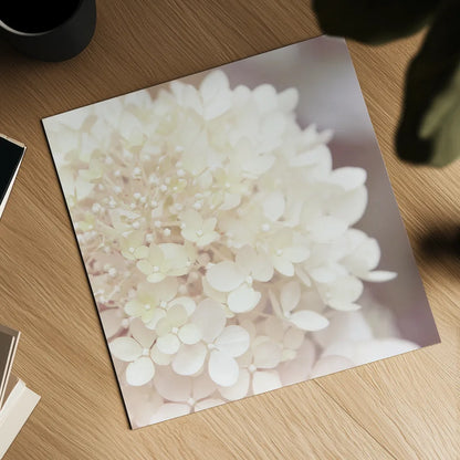 Hydrangea Dream I by Laura Marshall. Shown as a detailed flat fine art print, highlighting archival giclee quality. Available as an archival giclee rolled canvas, fine art paper, or poster print. SKU 21916a.