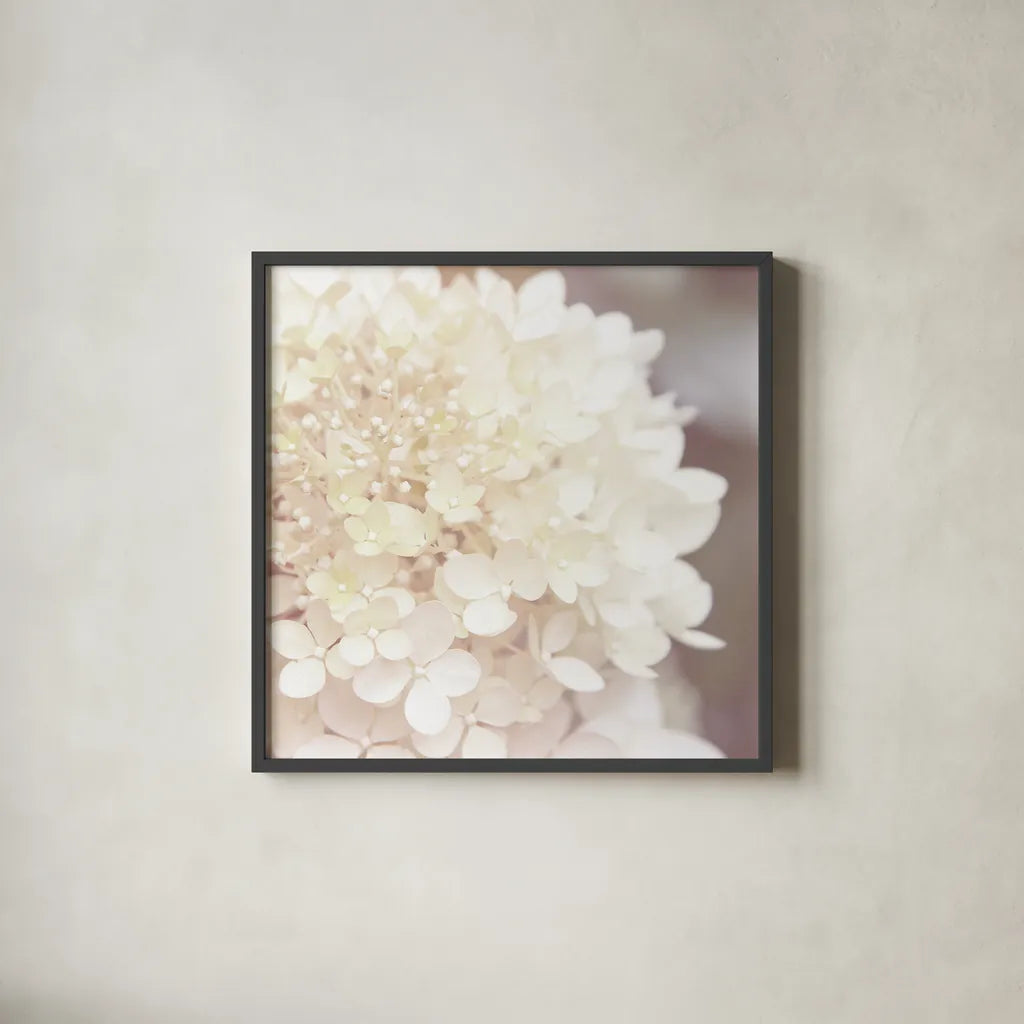 Hydrangea Dream I by Laura Marshall. Shown in a sleek black glass frame for a contemporary gallery look. Available as an archival giclee rolled canvas, fine art paper, or poster print. SKU 21916a.