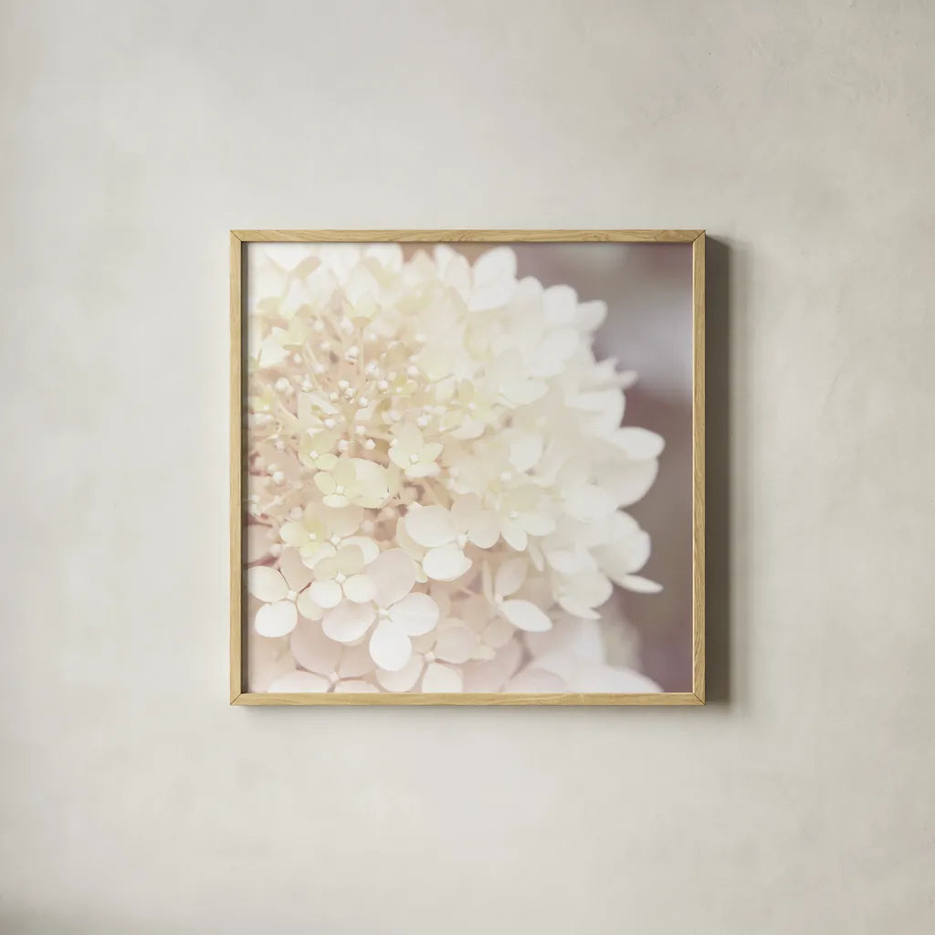 Hydrangea Dream I by Laura Marshall. Shown in a natural wood glass frame for a timeless modern aesthetic. Available as an archival giclee rolled canvas, fine art paper, or poster print. SKU 21916a.