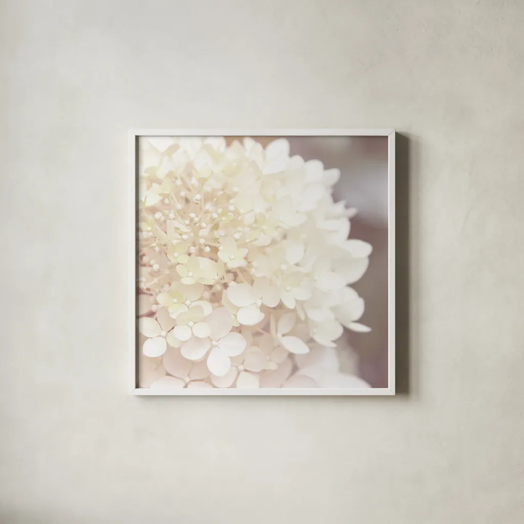 Hydrangea Dream I by Laura Marshall. Shown in a crisp white glass frame for a clean and minimalist style. Available as an archival giclee rolled canvas, fine art paper, or poster print. SKU 21916a.