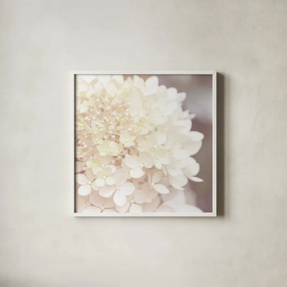 Hydrangea Dream I by Laura Marshall. Shown in a crisp white glass frame for a clean and minimalist style. Available as an archival giclee rolled canvas, fine art paper, or poster print. SKU 21916a.