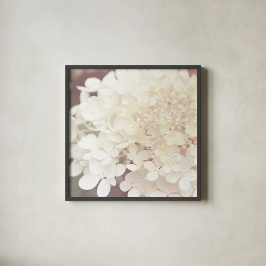 Hydrangea Dream II by Laura Marshall. Shown in a sleek black glass frame for a contemporary gallery look. Available as an archival giclee rolled canvas, fine art paper, or poster print. SKU 21917a.