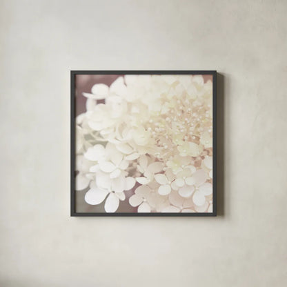 Hydrangea Dream II by Laura Marshall. Shown in a sleek black glass frame for a contemporary gallery look. Available as an archival giclee rolled canvas, fine art paper, or poster print. SKU 21917a.