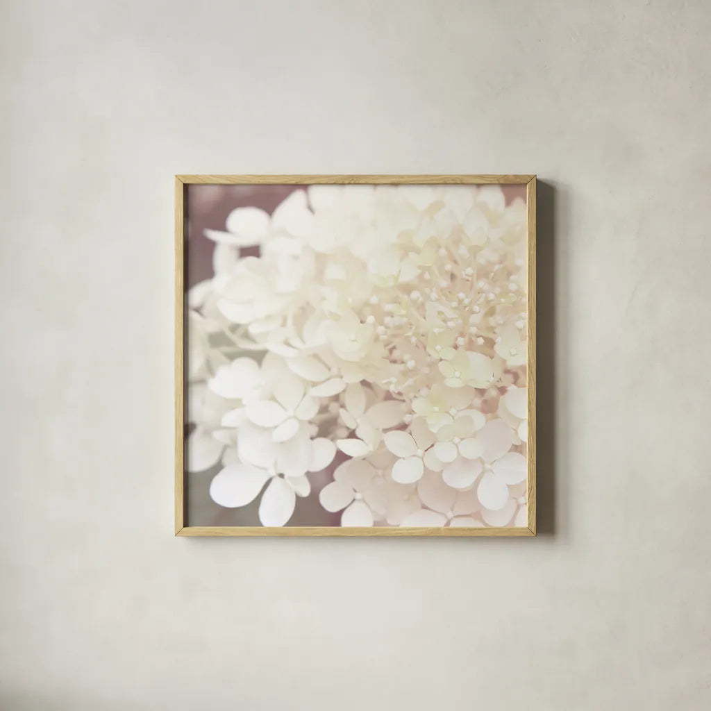 Hydrangea Dream II by Laura Marshall. Shown in a natural wood glass frame for a timeless modern aesthetic. Available as an archival giclee rolled canvas, fine art paper, or poster print. SKU 21917a.