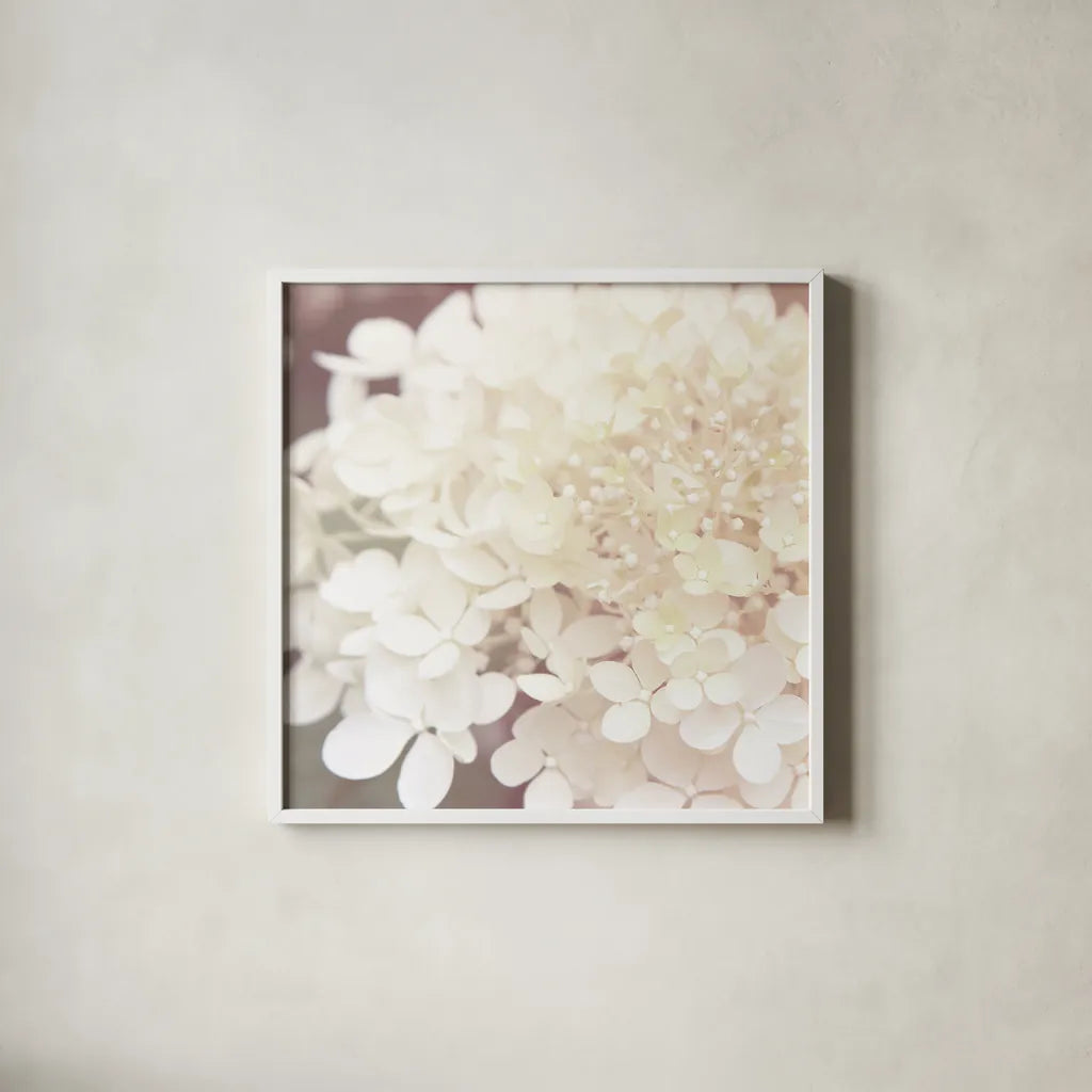 Hydrangea Dream II by Laura Marshall. Shown in a crisp white glass frame for a clean and minimalist style. Available as an archival giclee rolled canvas, fine art paper, or poster print. SKU 21917a.
