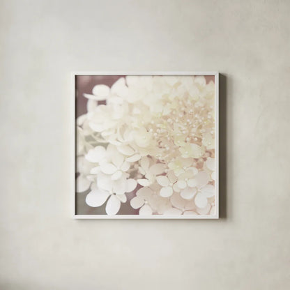 Hydrangea Dream II by Laura Marshall. Shown in a crisp white glass frame for a clean and minimalist style. Available as an archival giclee rolled canvas, fine art paper, or poster print. SKU 21917a.