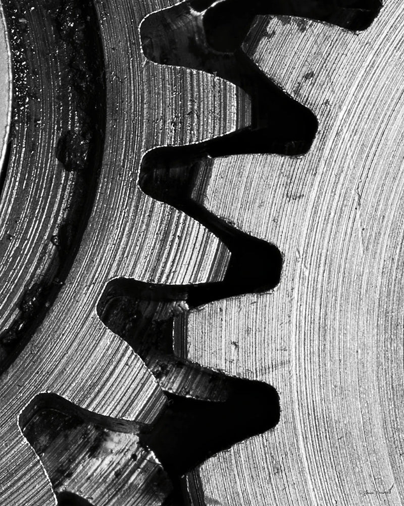 Interlocked III by Laura Marshall