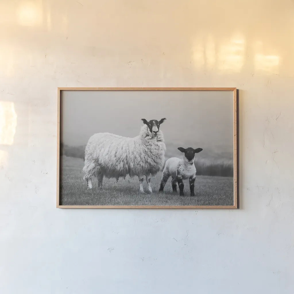 Islay Sheep I by Laura Marshall. shown as a paper print in a natural frame. Available as a archival giclee rolled canvas, fine art paper, or poster print. SKU 53672i.