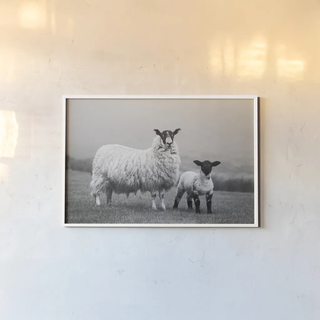 Islay Sheep I by Laura Marshall. shown as a paper print in a white frame. Available as a archival giclee rolled canvas, fine art paper, or poster print. SKU 53672i.