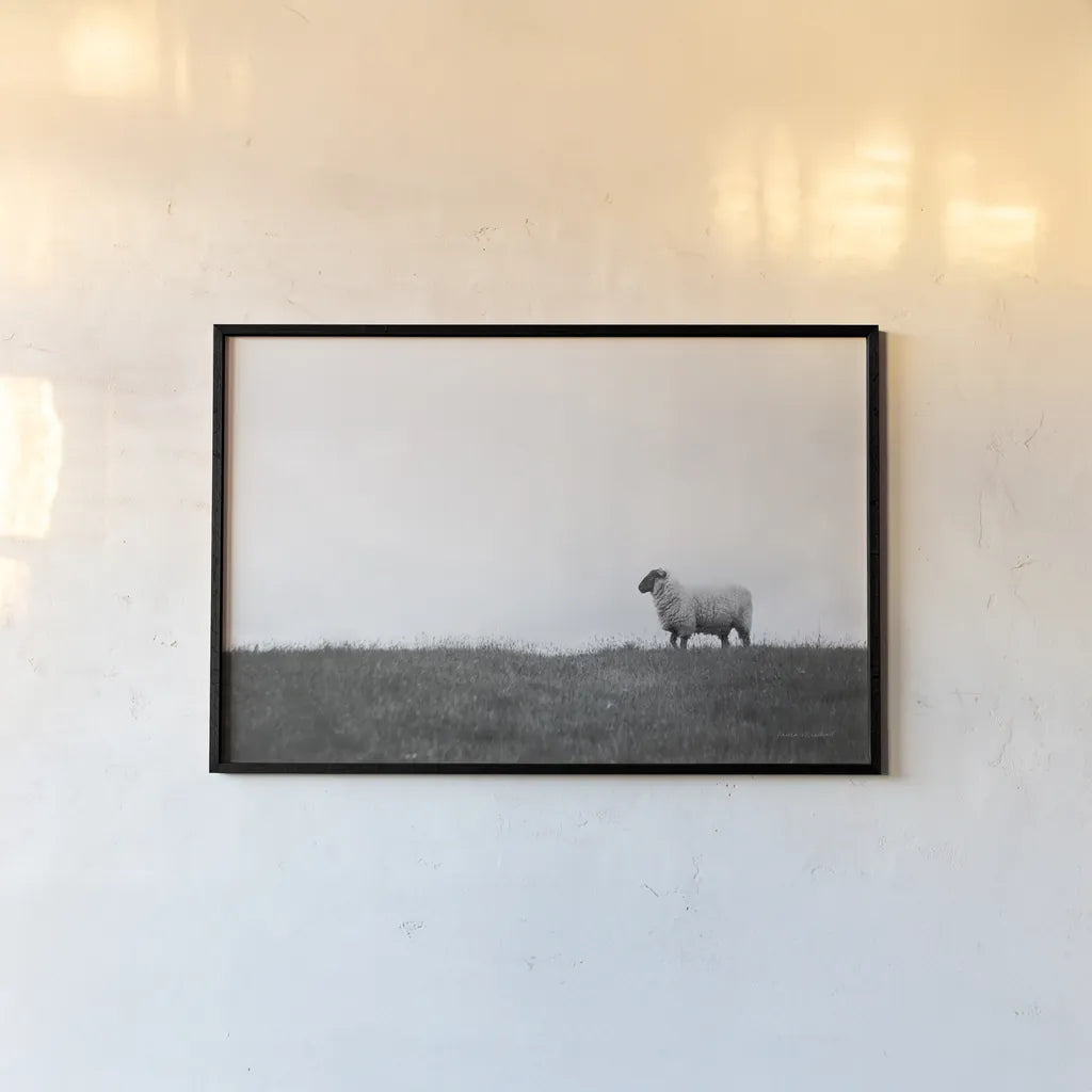 Islay Sheep II by Laura Marshall. shown as a paper print in a black flame. Available as a archival giclee rolled canvas, fine art paper, or poster print. SKU 53673i.