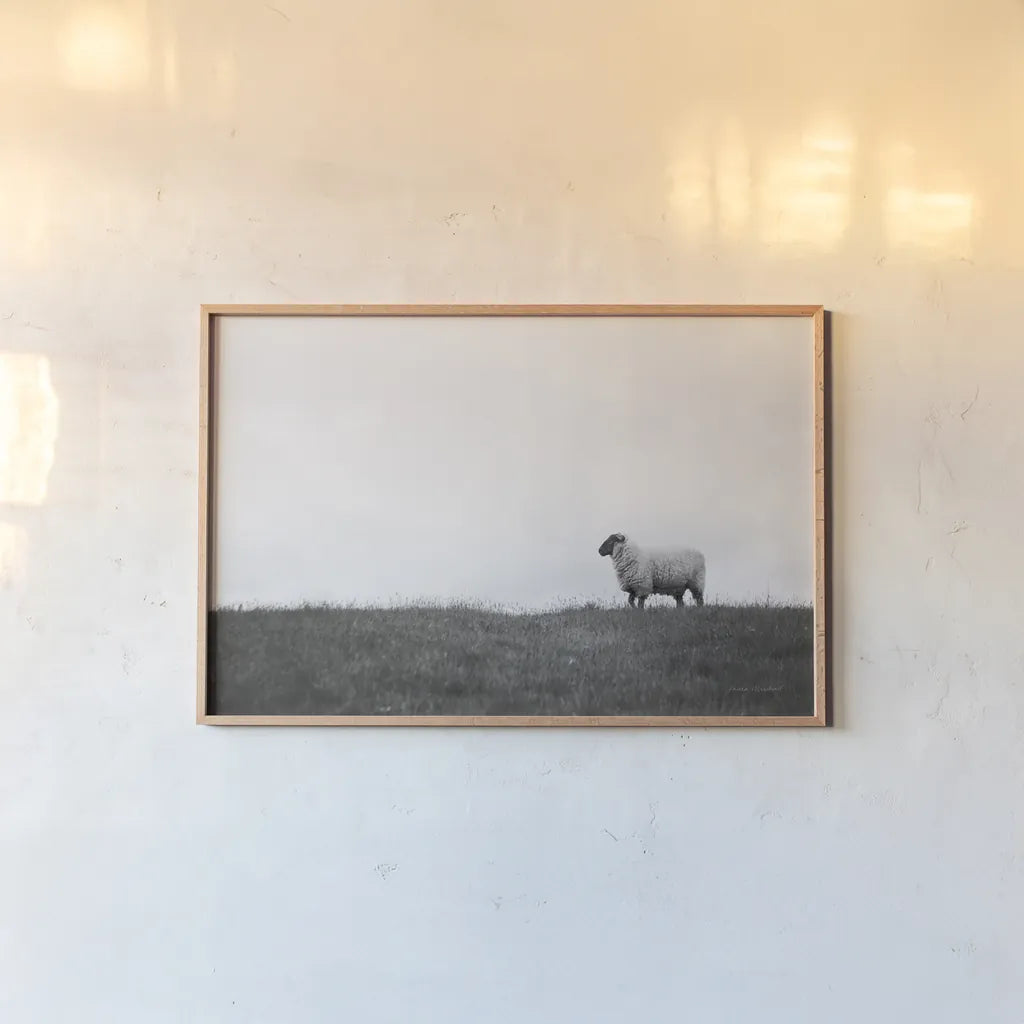 Islay Sheep II by Laura Marshall. shown as a paper print in a natural frame. Available as a archival giclee rolled canvas, fine art paper, or poster print. SKU 53673i.