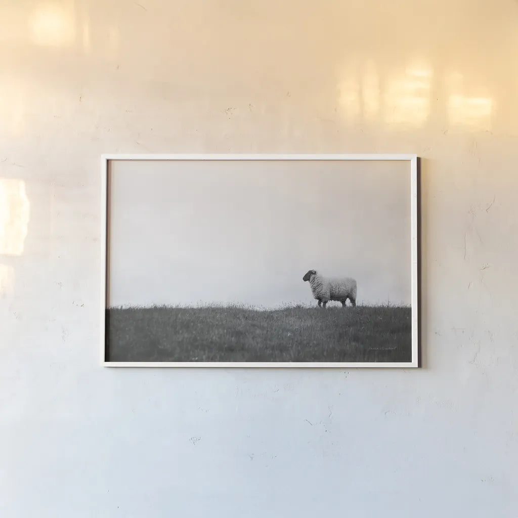 Islay Sheep II by Laura Marshall. shown as a paper print in a white frame. Available as a archival giclee rolled canvas, fine art paper, or poster print. SKU 53673i.
