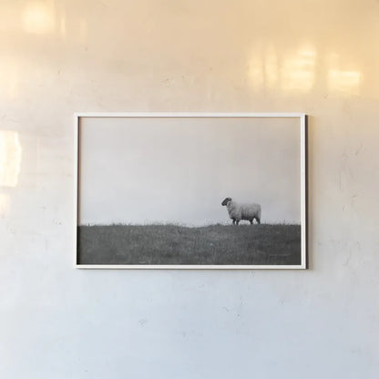 Islay Sheep II by Laura Marshall. shown as a paper print in a white frame. Available as a archival giclee rolled canvas, fine art paper, or poster print. SKU 53673i.