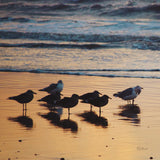 Kalaloch Birds I by Laura Marshall. SKU 42971a. Archival Giclee Fine art print for wall decor.
