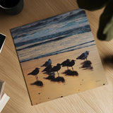 Kalaloch Birds I by Laura Marshall. Shown as a detailed flat fine art print, highlighting archival giclee quality. Available as an archival giclee rolled canvas, fine art paper, or poster print. SKU 42971a.