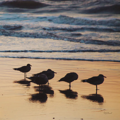 Kalaloch Birds II by Laura Marshall. SKU 42972a. Archival Giclee Fine art print for wall decor.