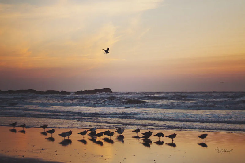 Kalaloch Birds III by Laura Marshall. SKU 42973i. Archival Giclee Fine art print for wall decor.