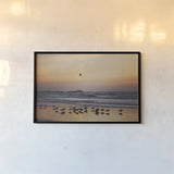 Kalaloch Birds III by Laura Marshall. shown as a paper print in a black flame. Available as a archival giclee rolled canvas, fine art paper, or poster print. SKU 42973i.