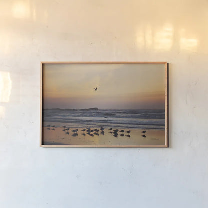 Kalaloch Birds III by Laura Marshall. shown as a paper print in a natural frame. Available as a archival giclee rolled canvas, fine art paper, or poster print. SKU 42973i.