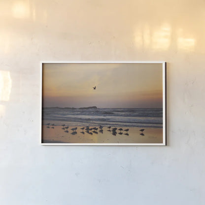Kalaloch Birds III by Laura Marshall. shown as a paper print in a white frame. Available as a archival giclee rolled canvas, fine art paper, or poster print. SKU 42973i.
