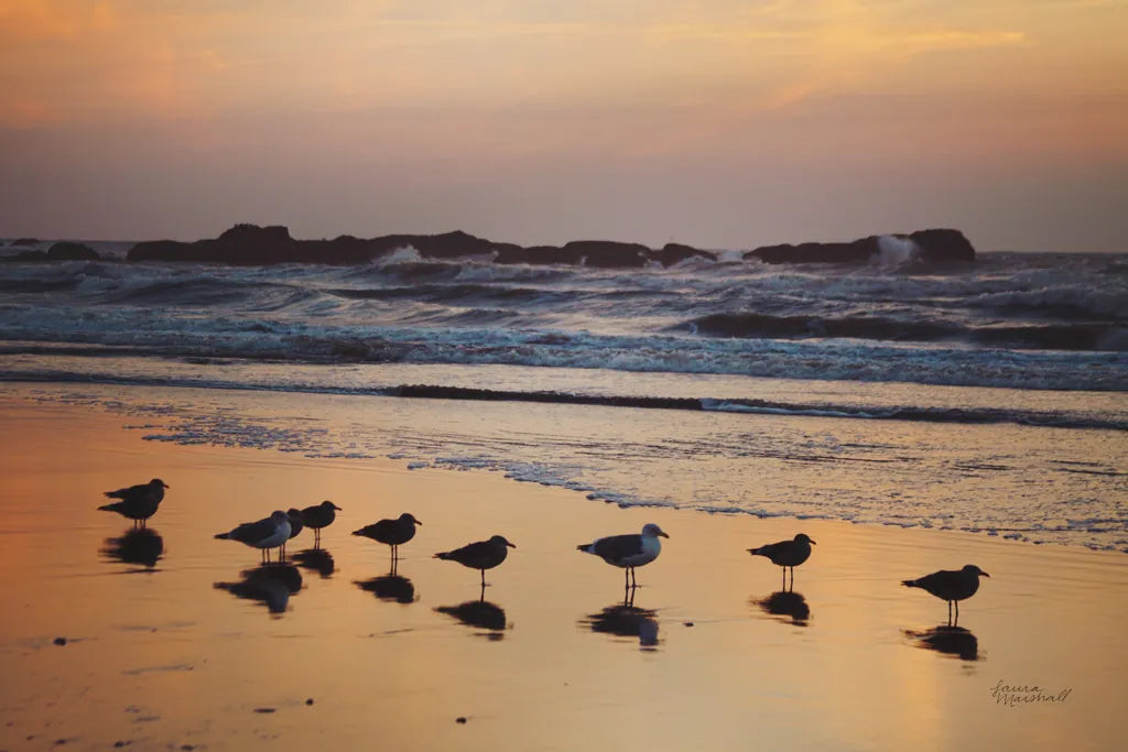 Kalaloch Birds IV by Laura Marshall. SKU 42974i. Archival Giclee Fine art print for wall decor.
