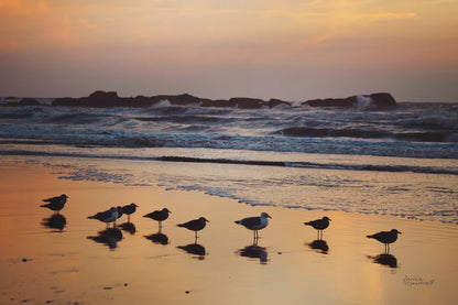 Kalaloch Birds IV by Laura Marshall. SKU 42974i. Archival Giclee Fine art print for wall decor.