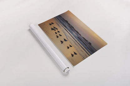 Kalaloch Birds IV by Laura Marshall. shown as a rolled paper print. Available as archival giclee rolled canvas, fine art paper, or poster print. SKU 42974i.