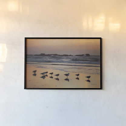 Kalaloch Birds IV by Laura Marshall. shown as a paper print in a black flame. Available as a archival giclee rolled canvas, fine art paper, or poster print. SKU 42974i.