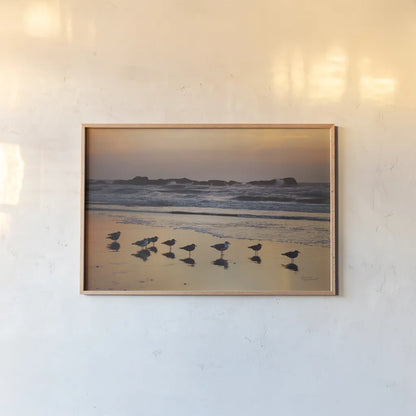 Kalaloch Birds IV by Laura Marshall. shown as a paper print in a natural frame. Available as a archival giclee rolled canvas, fine art paper, or poster print. SKU 42974i.