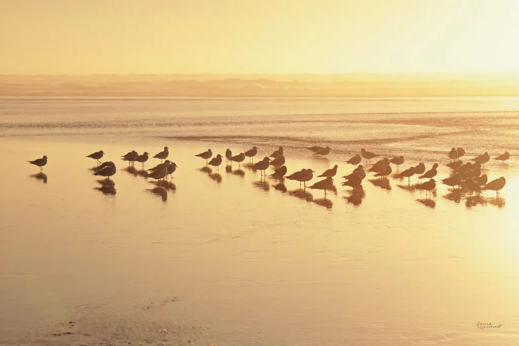 Kalaloch Sunset II by Laura Marshall. SKU 17121i. Archival Giclee Fine art print for wall decor.