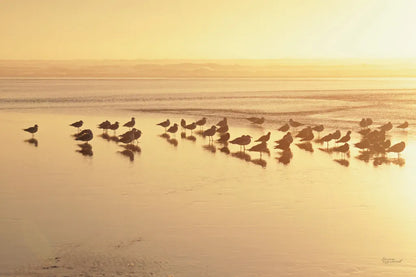 Kalaloch Sunset II by Laura Marshall. SKU 17121i. Archival Giclee Fine art print for wall decor.