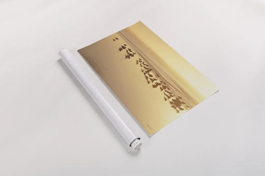 Kalaloch Sunset II by Laura Marshall. shown as a rolled paper print. Available as archival giclee rolled canvas, fine art paper, or poster print. SKU 17121i.